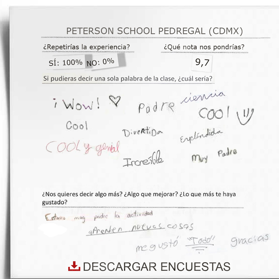 Encuestas Peterson School Pedregal (CDMX)